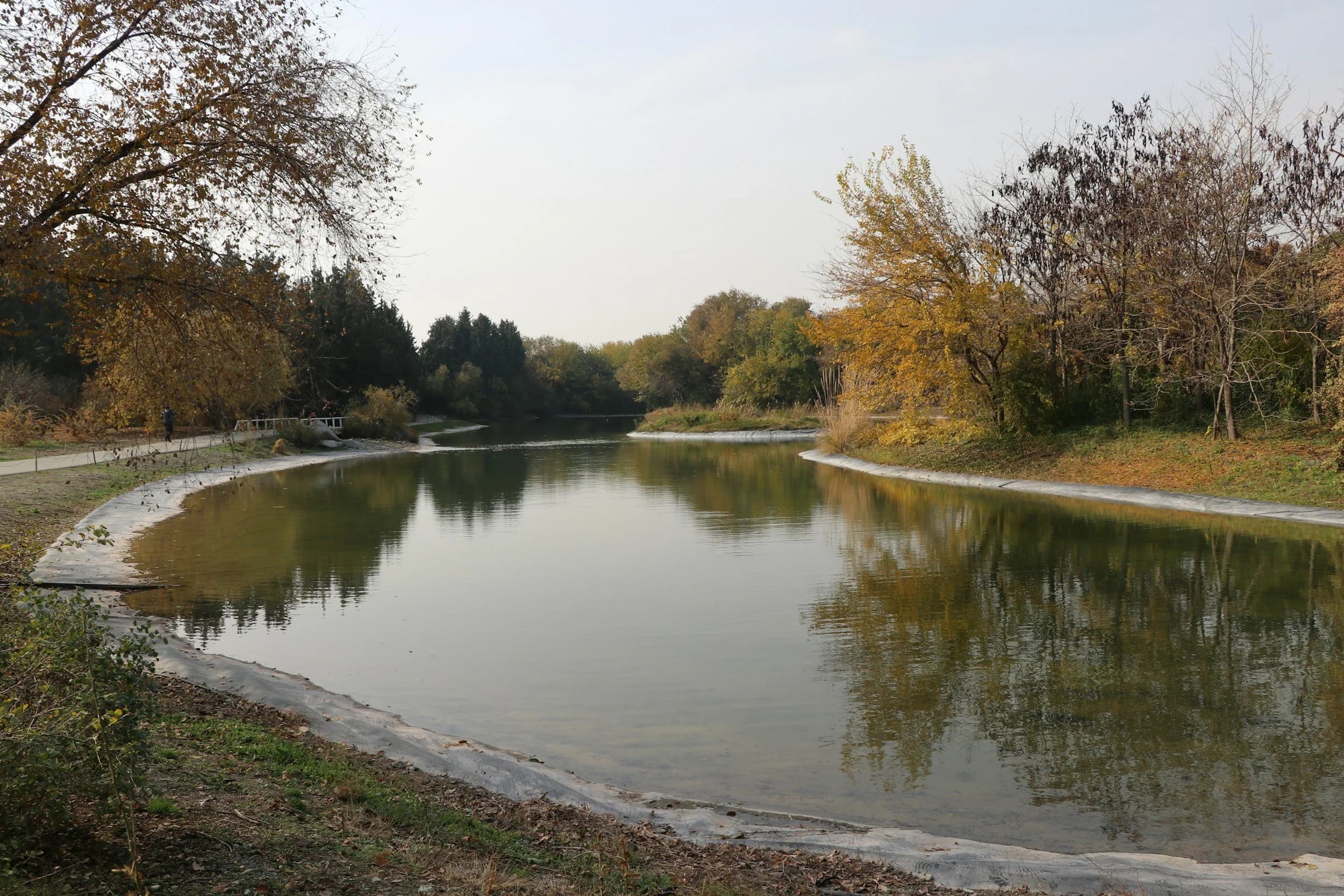 Roofing Company Elm Springs, Arkansas